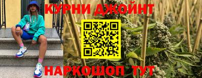 гашик Волжский