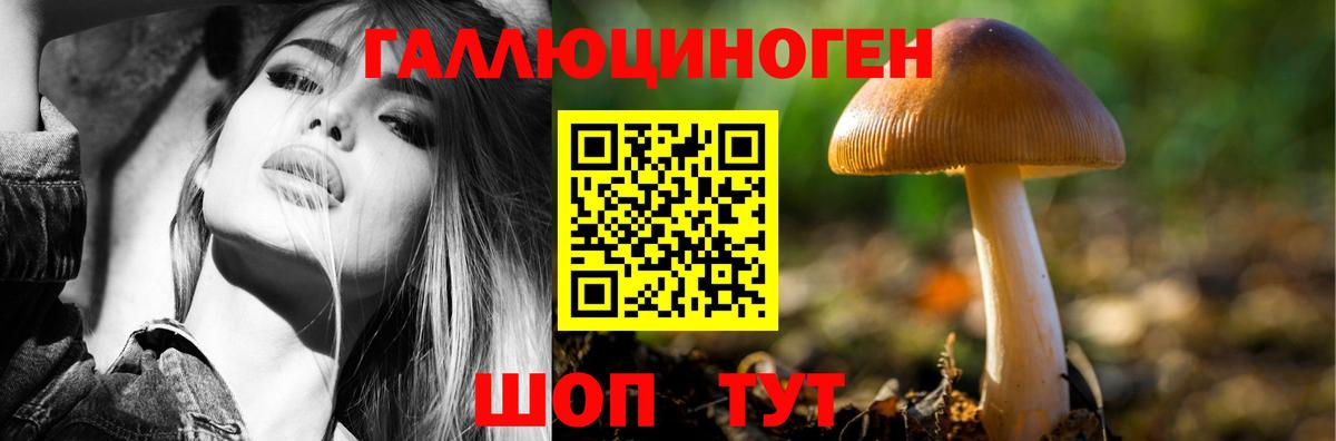 Псилоцибиновые грибы MAGIC MUSHROOMS  Галлюциногенные грибы ЛСД  Вход с VPN  Махачкала 
